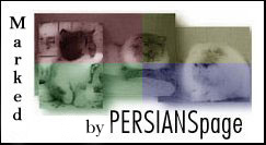 PERSIANSpage