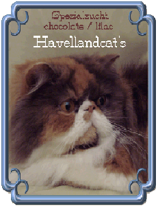 Havellandcat's cattery