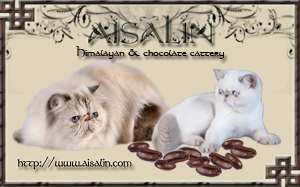Aisalin cattery