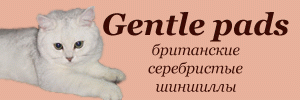Gentle pads cattery