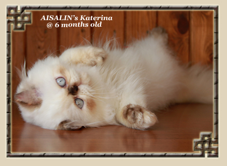 AISALIN's Katerina